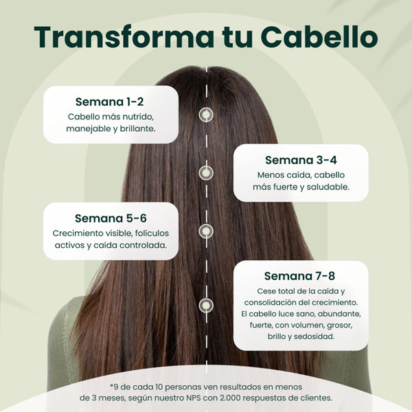 Protocolo Anticaída